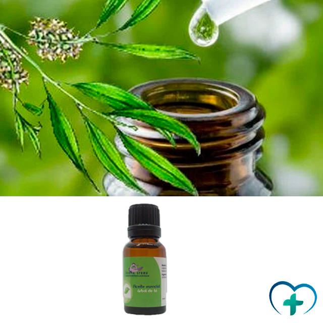 Aceite Esencial Árbol de Té | Cuidado de la Piel y Terapéutico - Image 2