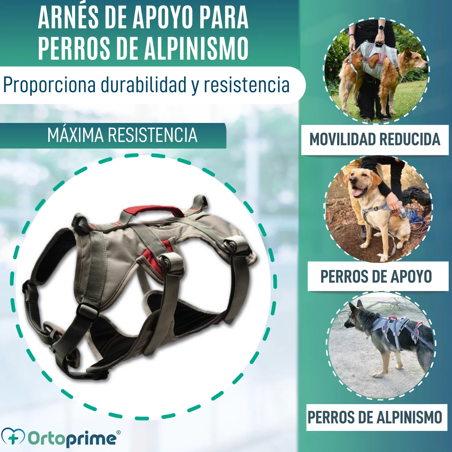 Arnés de Apoyo para Perros de Alpinismo | Máxima Resistencia - Image 3
