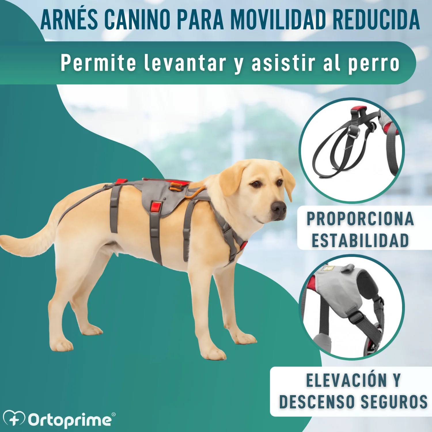 Arnés de Apoyo para Perros de Alpinismo | Máxima Resistencia - Image 4