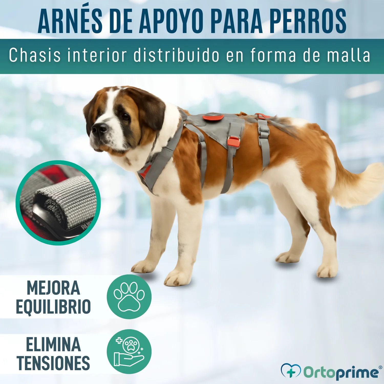 Arnés de Apoyo para Perros de Alpinismo | Máxima Resistencia - Image 6