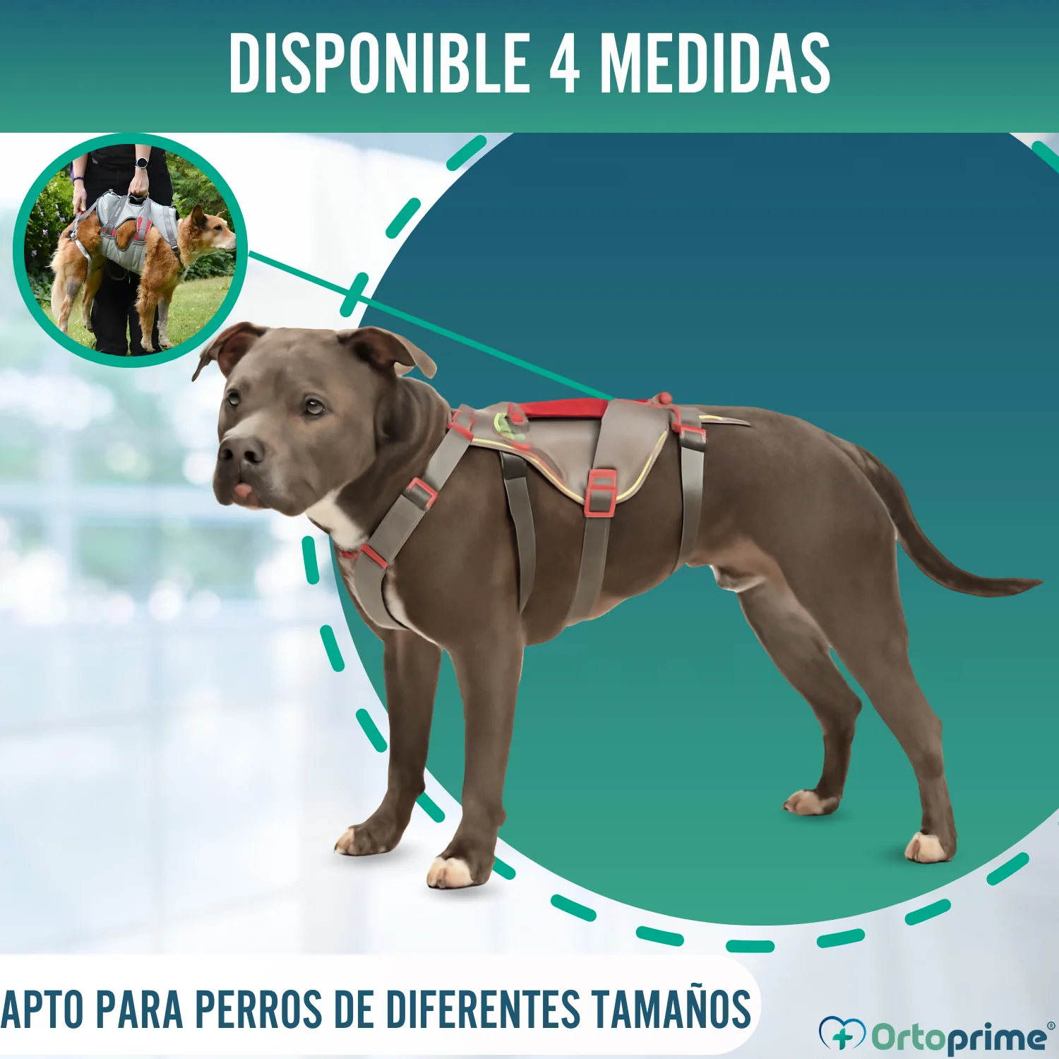 Arnés de Apoyo para Perros de Alpinismo | Máxima Resistencia - Image 7
