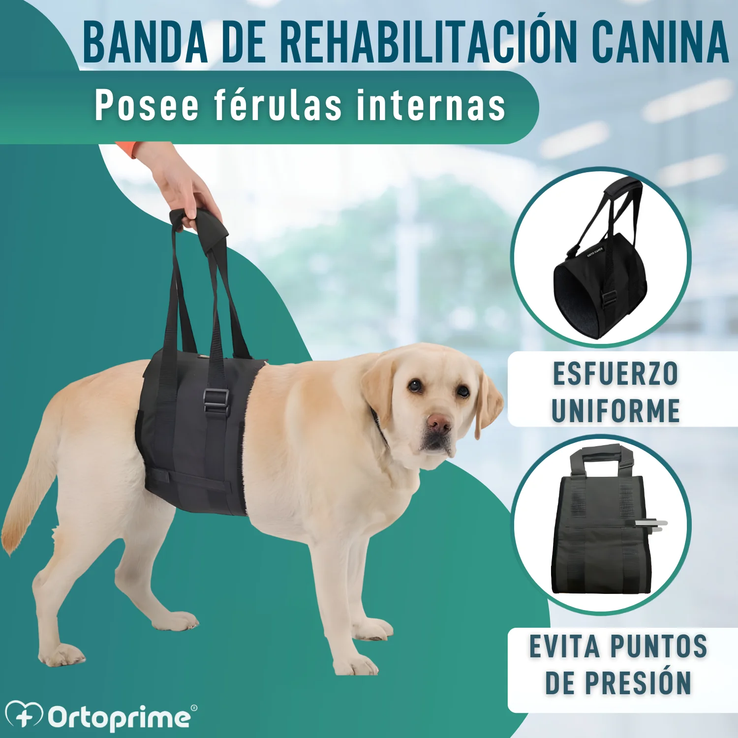 Banda de Ayuda para Perros con Movilidad Reducida | 5 Tallas - Image 7