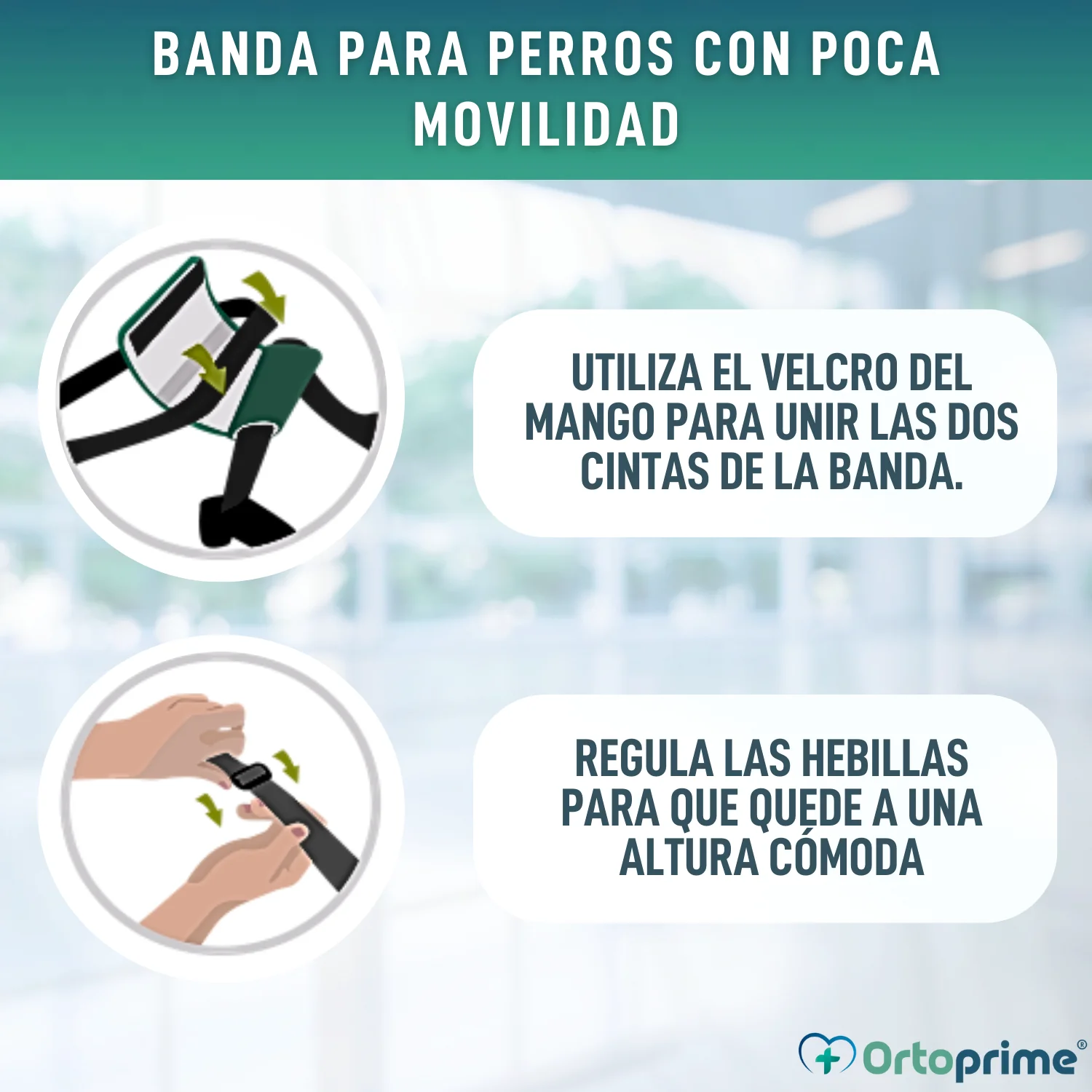 Banda de Ayuda para Perros con Movilidad Reducida | 5 Tallas - Image 9