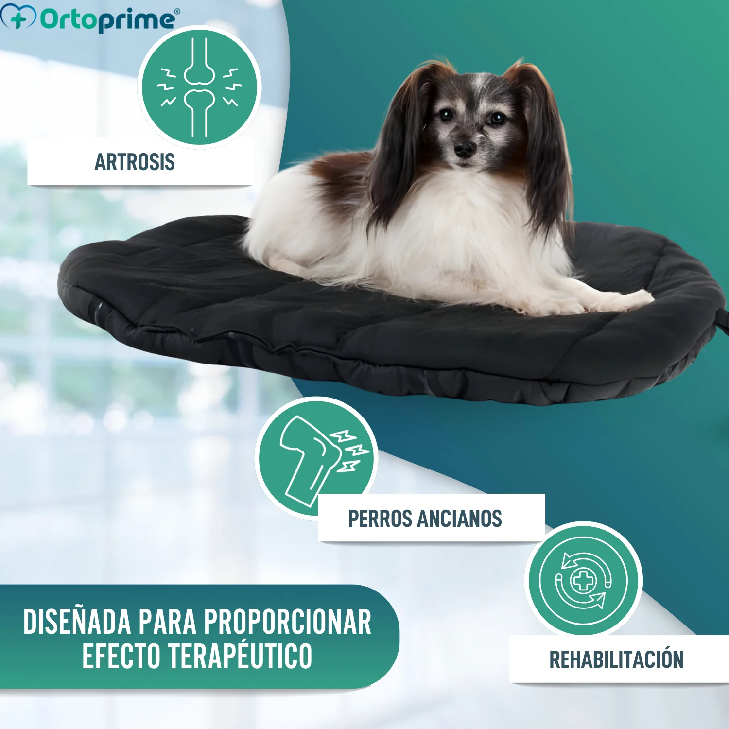 Cama Térmica para Perros con Artrosis | Tejido Terapéutico - Image 3