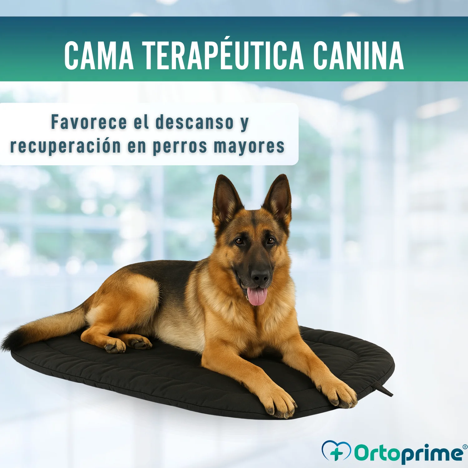 Cama Térmica para Perros con Artrosis | Tejido Terapéutico - Image 7