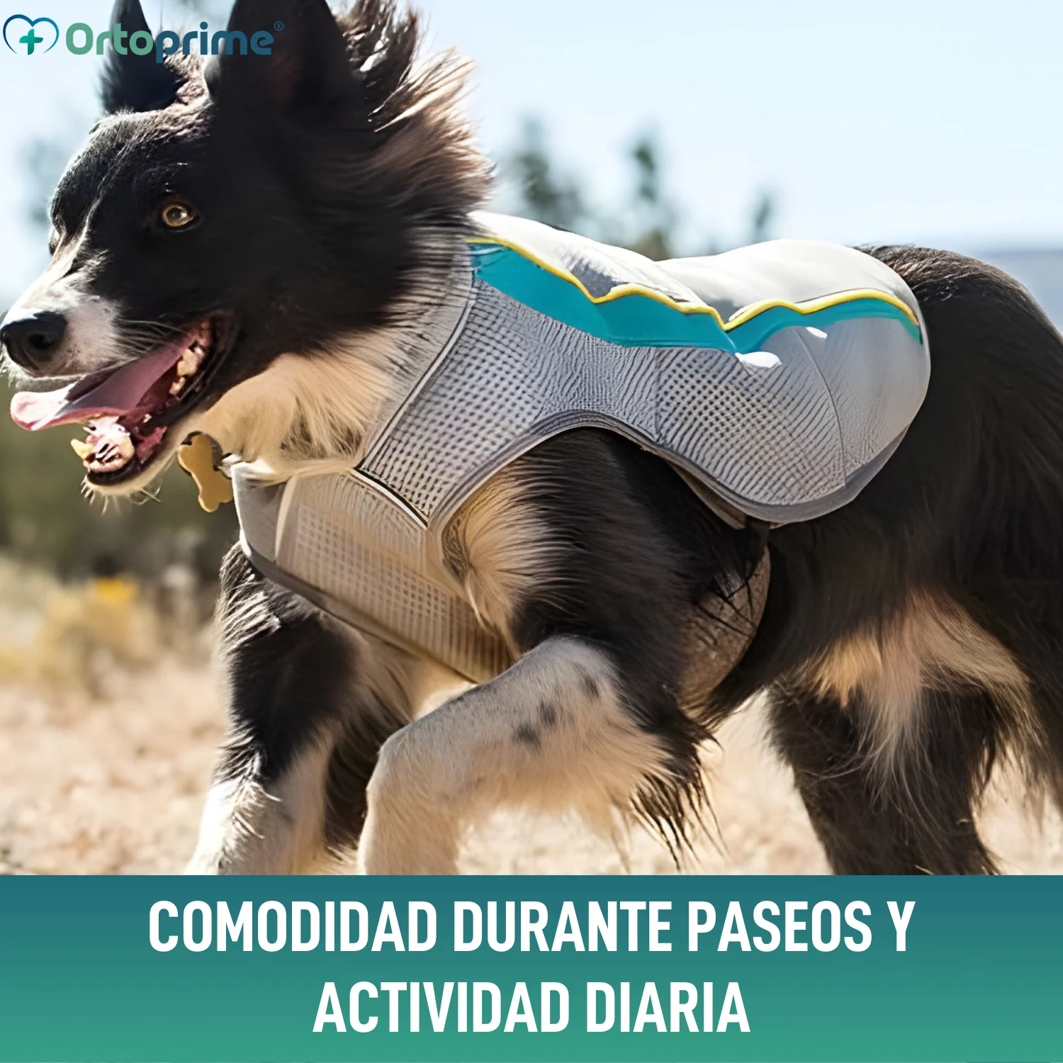 Chaleco de Verano para Perros | Refrigeración Evaporativa - Image 4