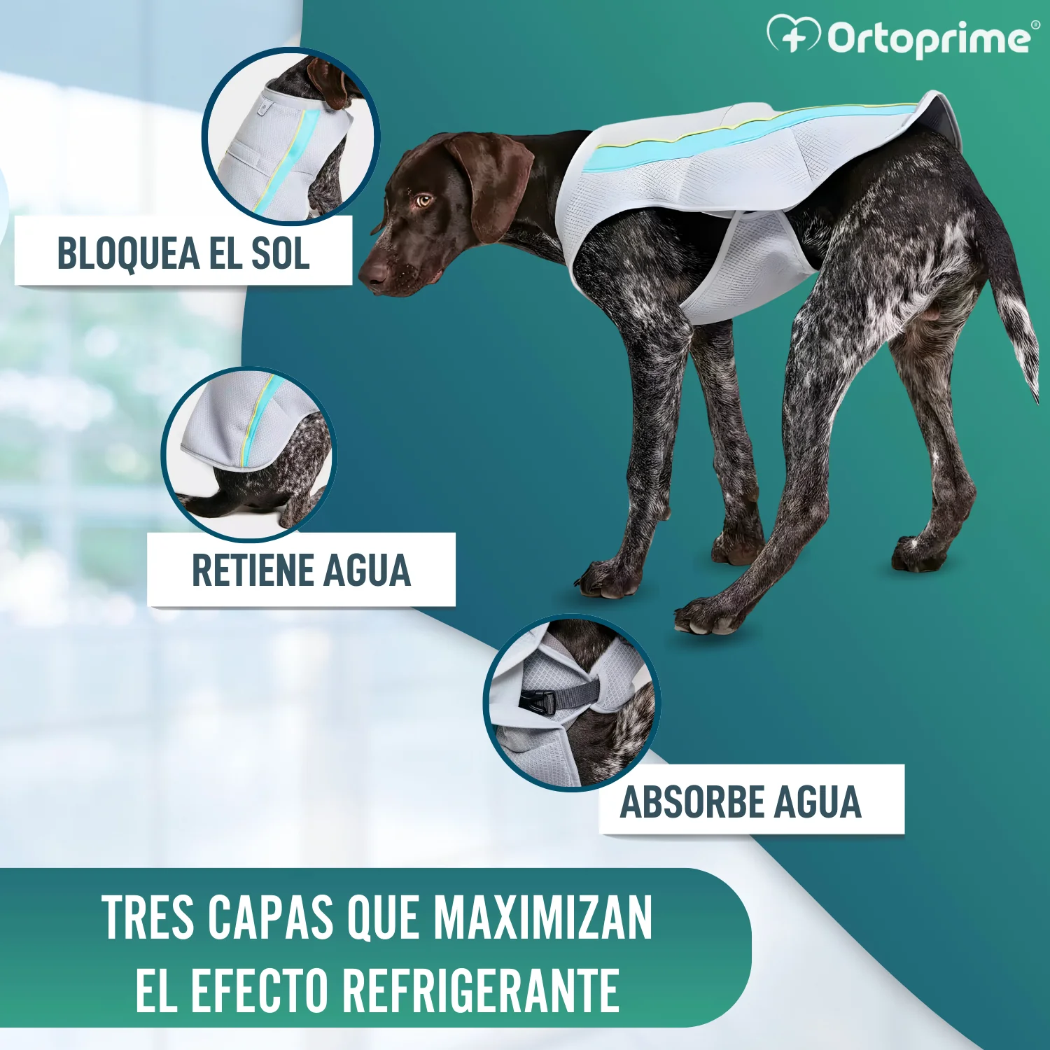 Chaleco de Verano para Perros | Refrigeración Evaporativa - Image 5