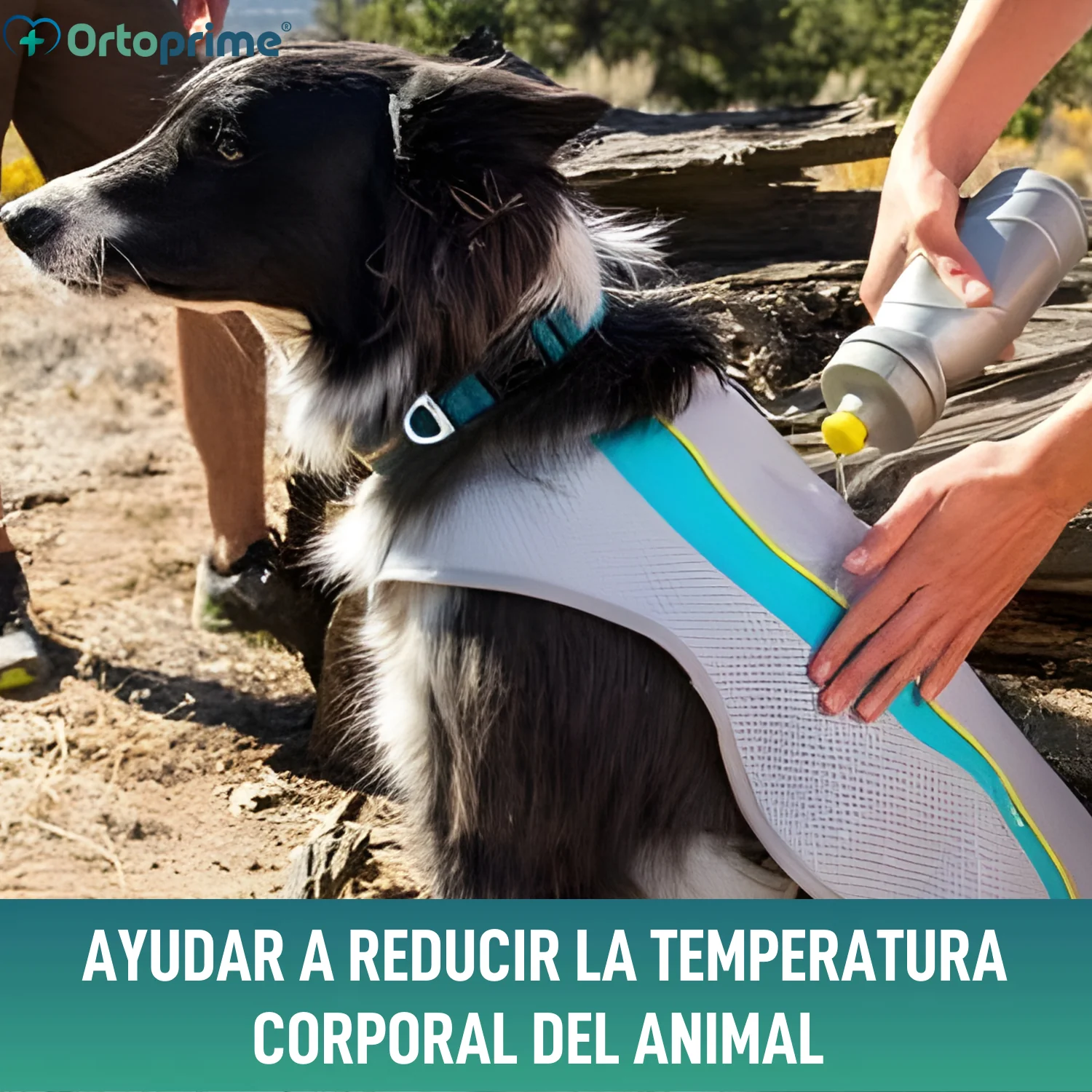 Chaleco de Verano para Perros | Refrigeración Evaporativa - Image 6