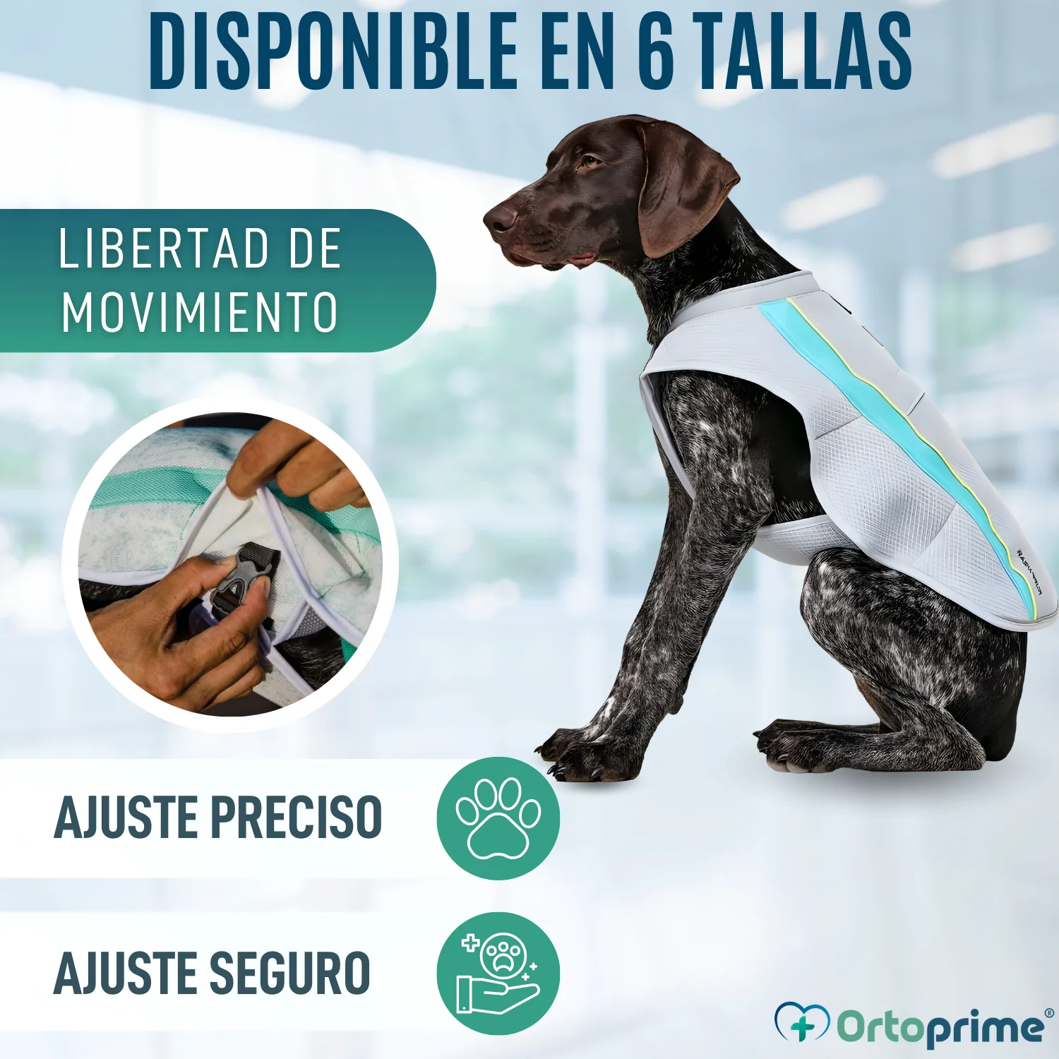 Chaleco de Verano para Perros | Refrigeración Evaporativa - Image 7