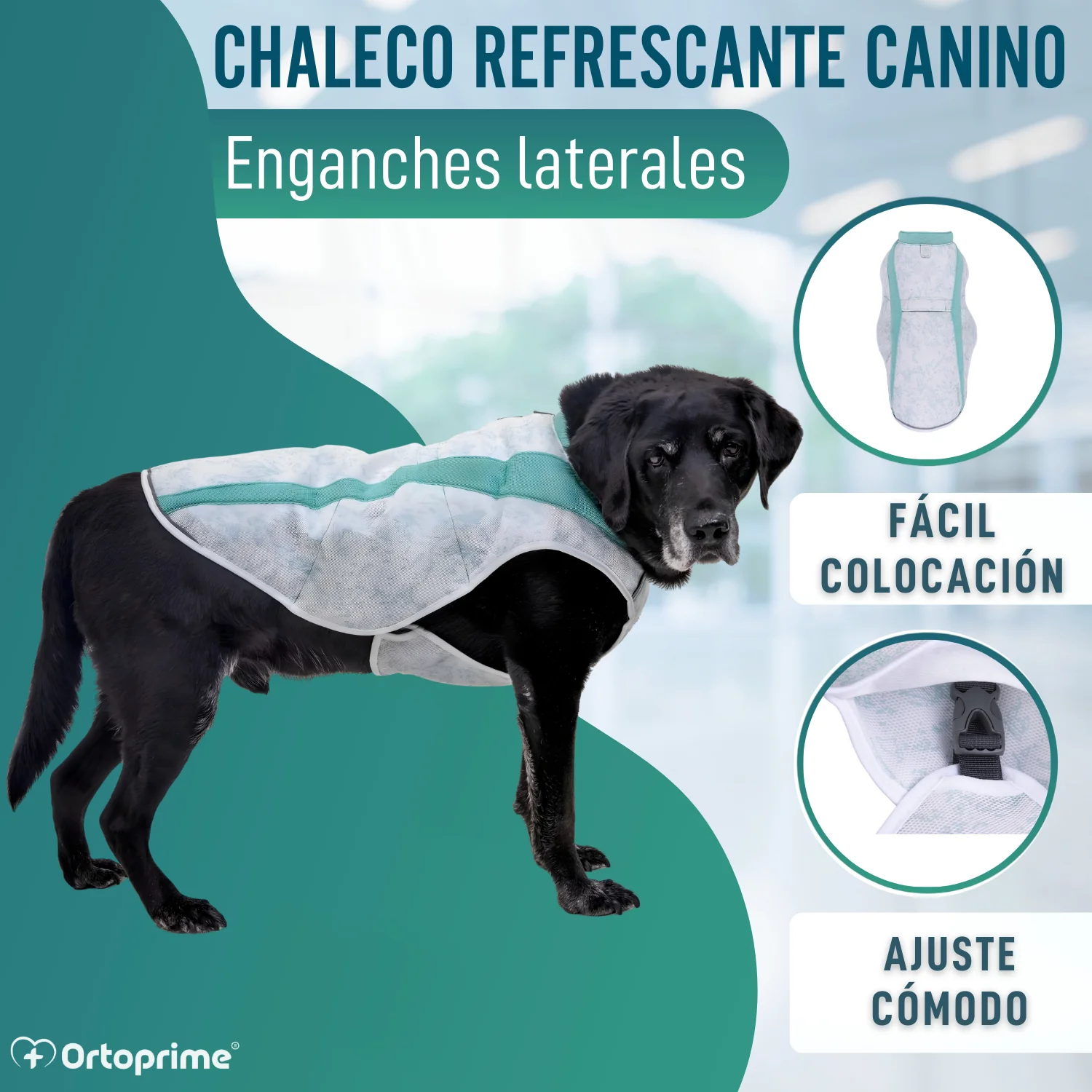 Chaleco de Verano para Perros | Refrigeración Evaporativa - Image 8
