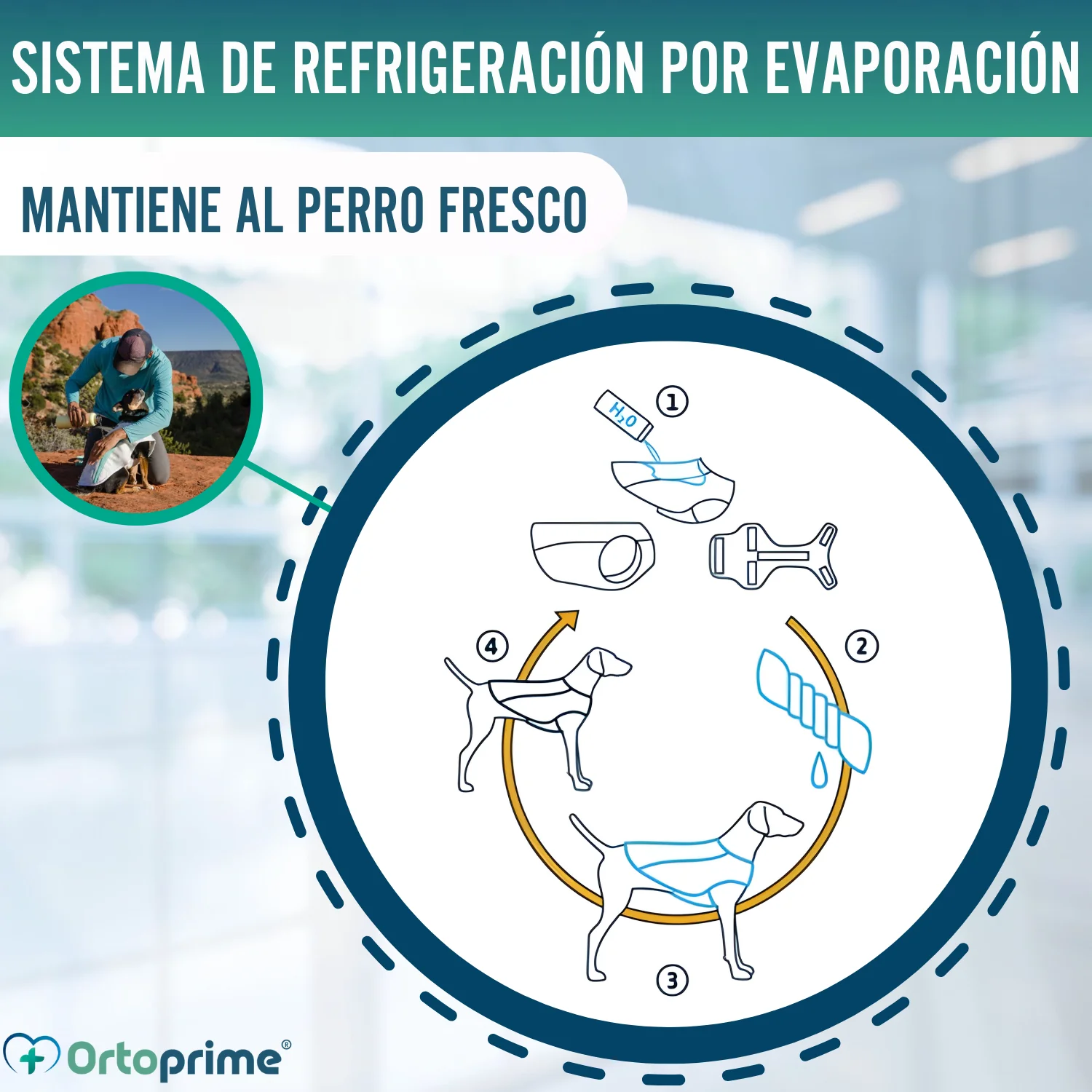 Chaleco de Verano para Perros | Refrigeración Evaporativa - Image 9