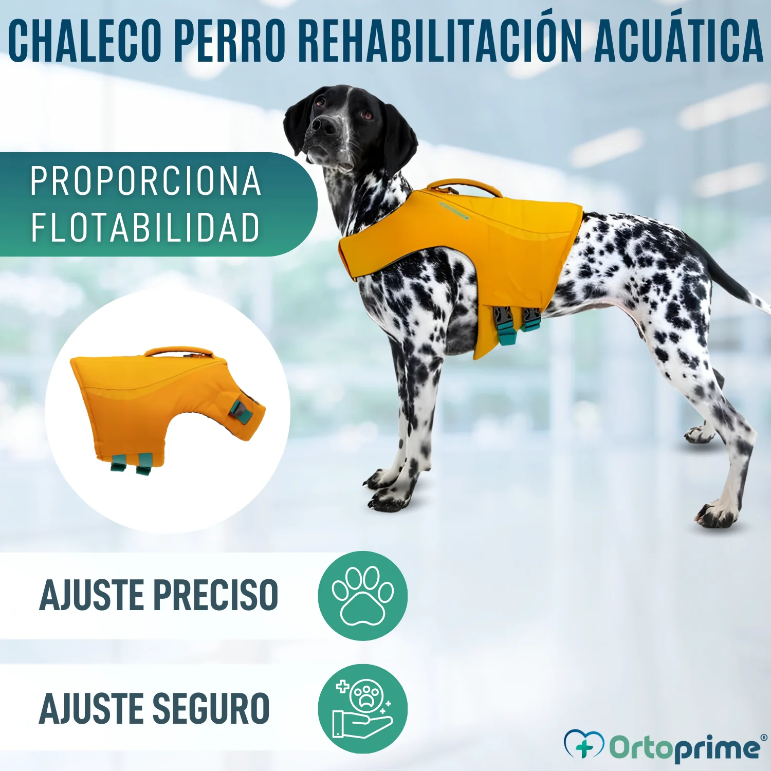 Chaleco Salvavidas Perro Múltiple Uso | Seguridad Acuática - Image 8