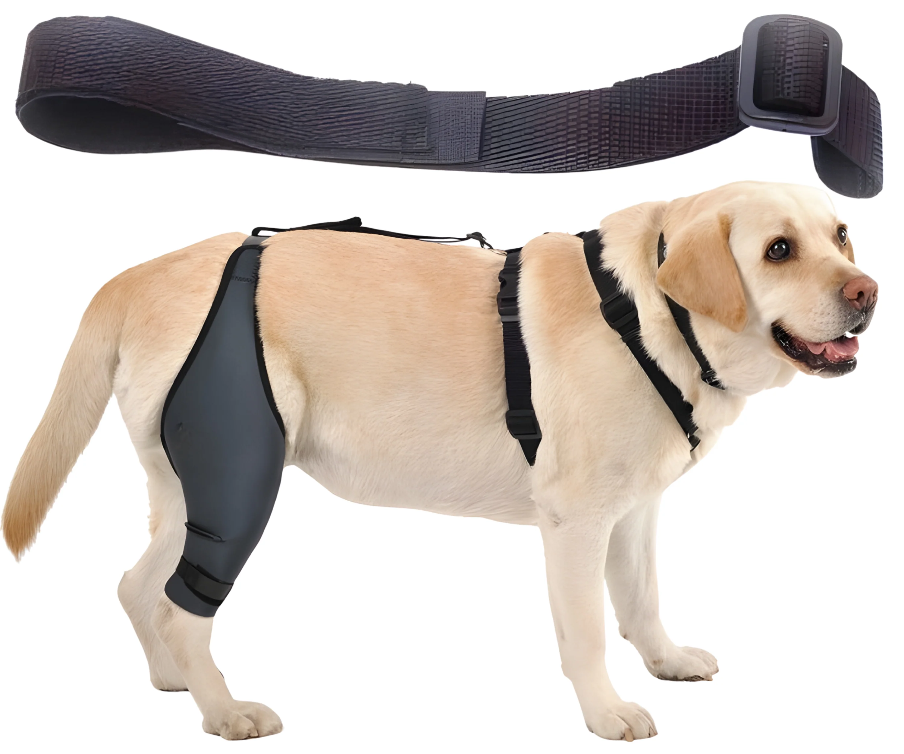 Cinta Canina de Sujeción Lumbar para Inmobilizador de Rodilla