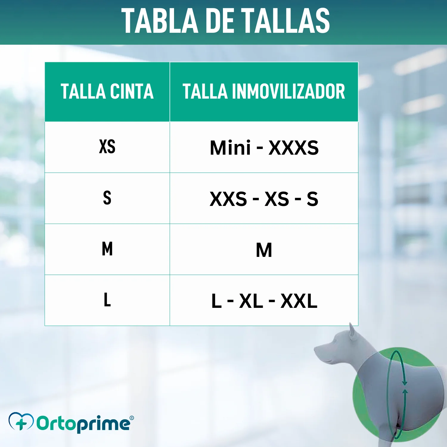 Cinta Canina de Sujeción Lumbar para Inmobilizador de Rodilla - Image 2