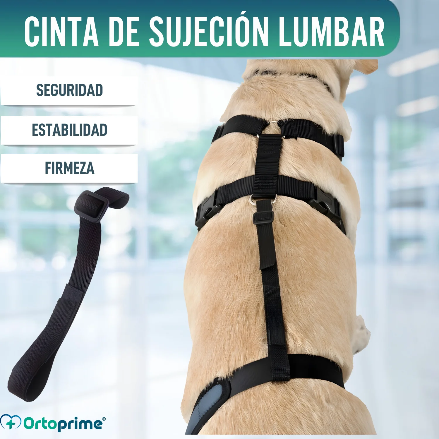 Cinta Canina de Sujeción Lumbar para Inmobilizador de Rodilla - Image 3