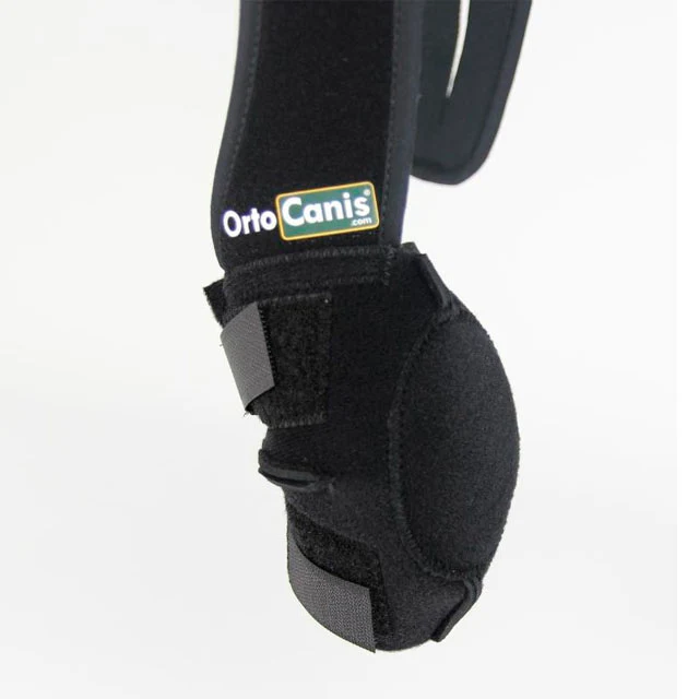 Codera para Perro con Bandas de Velcro | Por Tallas - Image 3