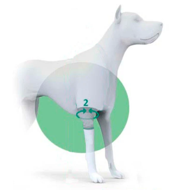 Codera para Perro con Bandas de Velcro | Por Tallas - Image 7
