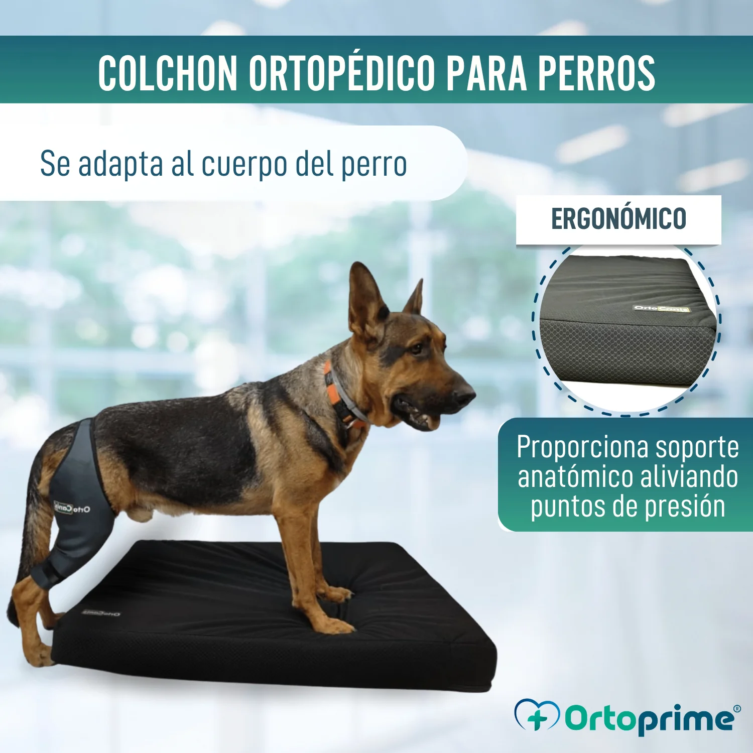 Colchón para Perros Viscoelástico con Funda | 4 Tallas - Image 3