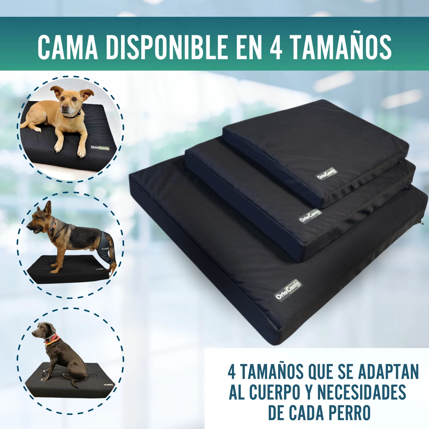 Colchón para Perros Viscoelástico con Funda | 4 Tallas - Image 8