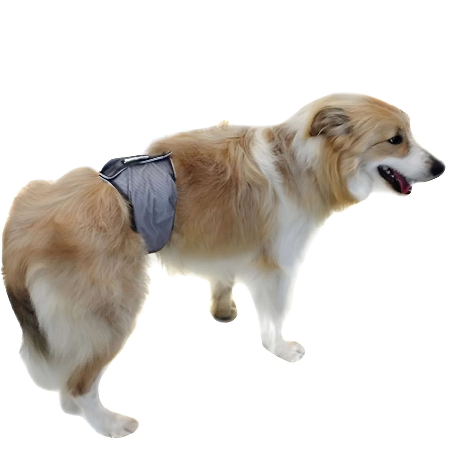 Faja Antigoteo para Incontinencia Canina | Perro Macho