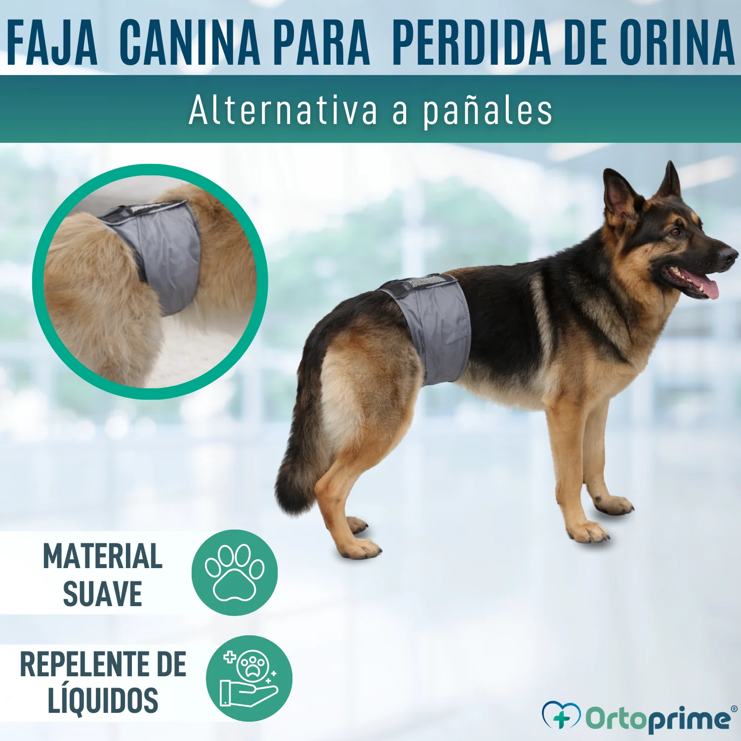 Faja Antigoteo para Incontinencia Canina | Perro Macho - Image 6