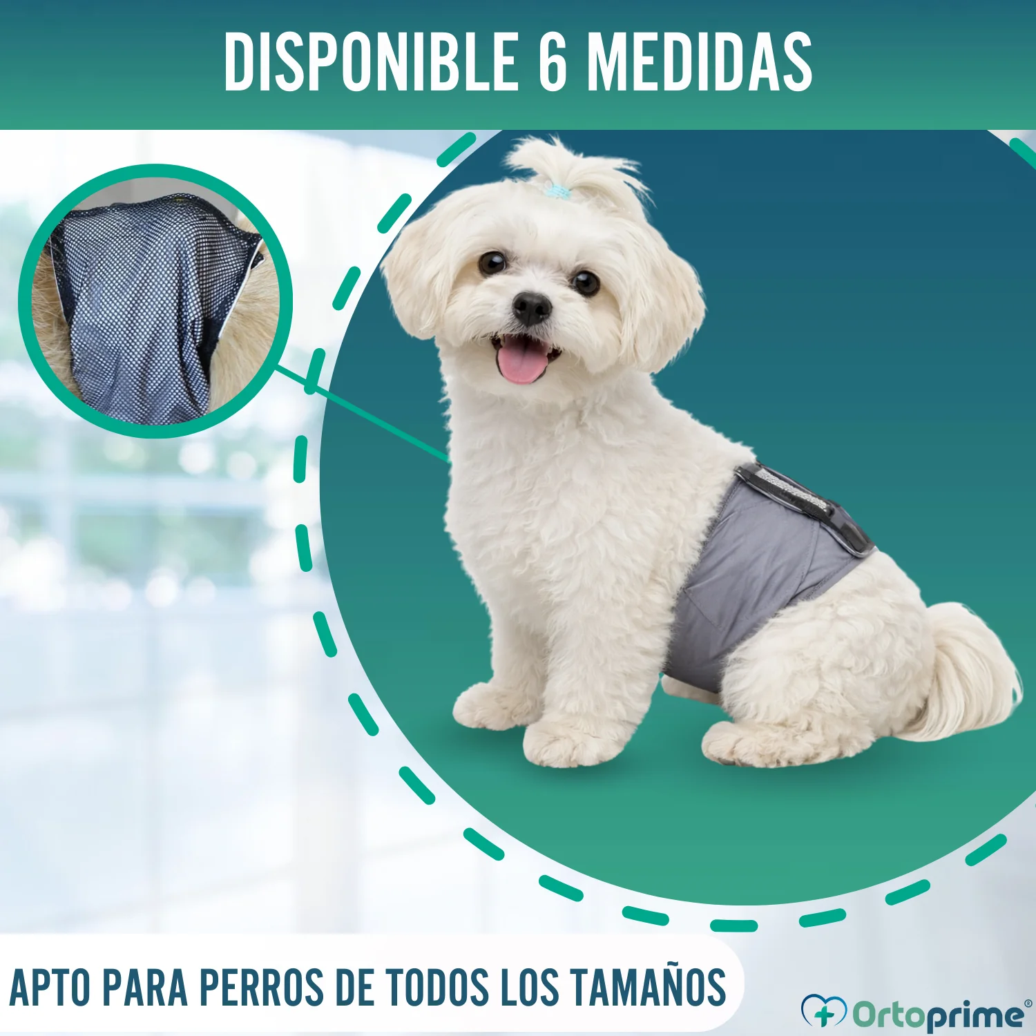 Faja Antigoteo para Incontinencia Canina | Perro Macho - Image 8