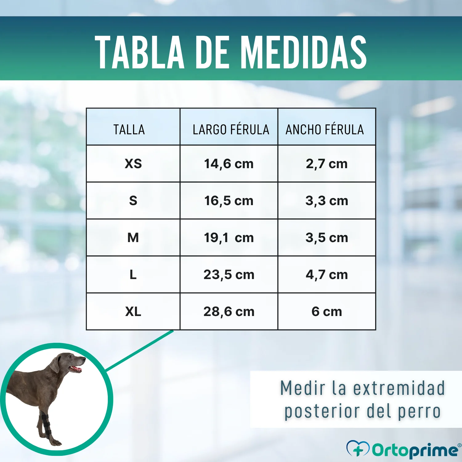 Férula Ortopédica para Perros con Lesiones de Tarso y Tobillo - Image 2