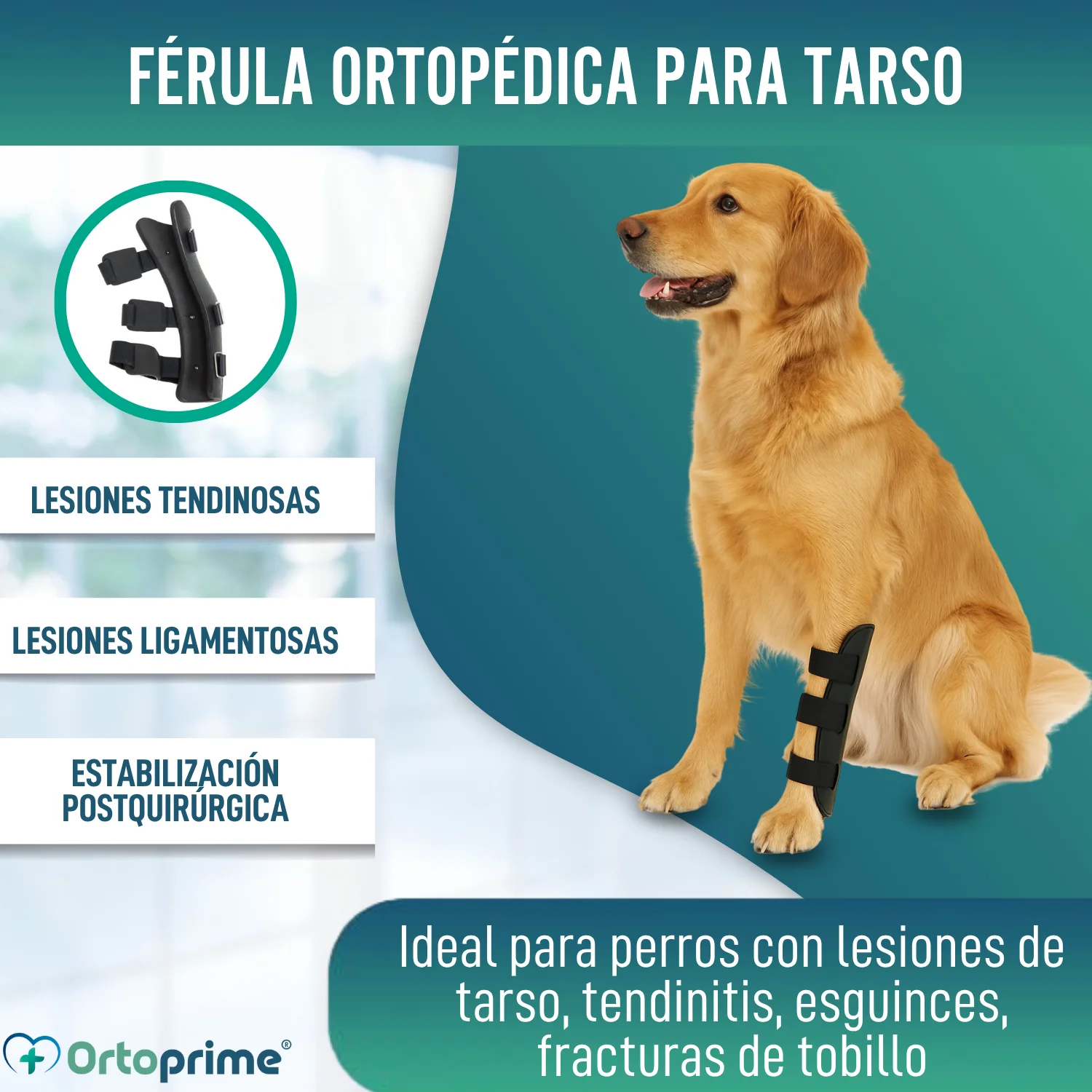 Férula Ortopédica para Perros con Lesiones de Tarso y Tobillo - Image 4