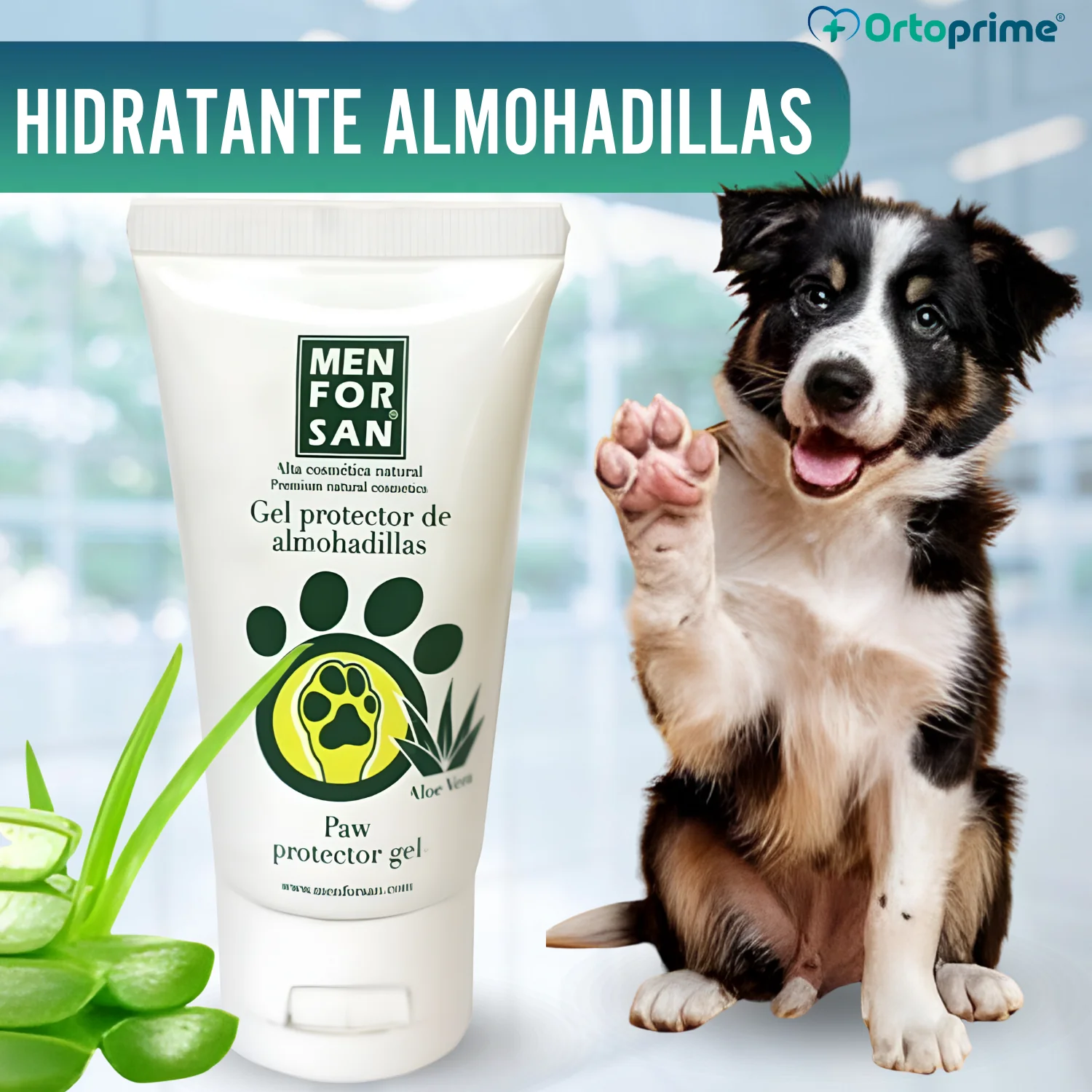 Gel Protector de Almohadillas para Perros | Aloe Vera 50ml - Image 7