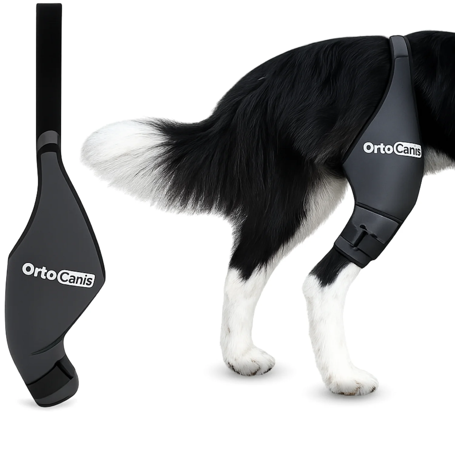 Inmovilizador de Rodilla para Perros de Neopreno | 9 Tallas