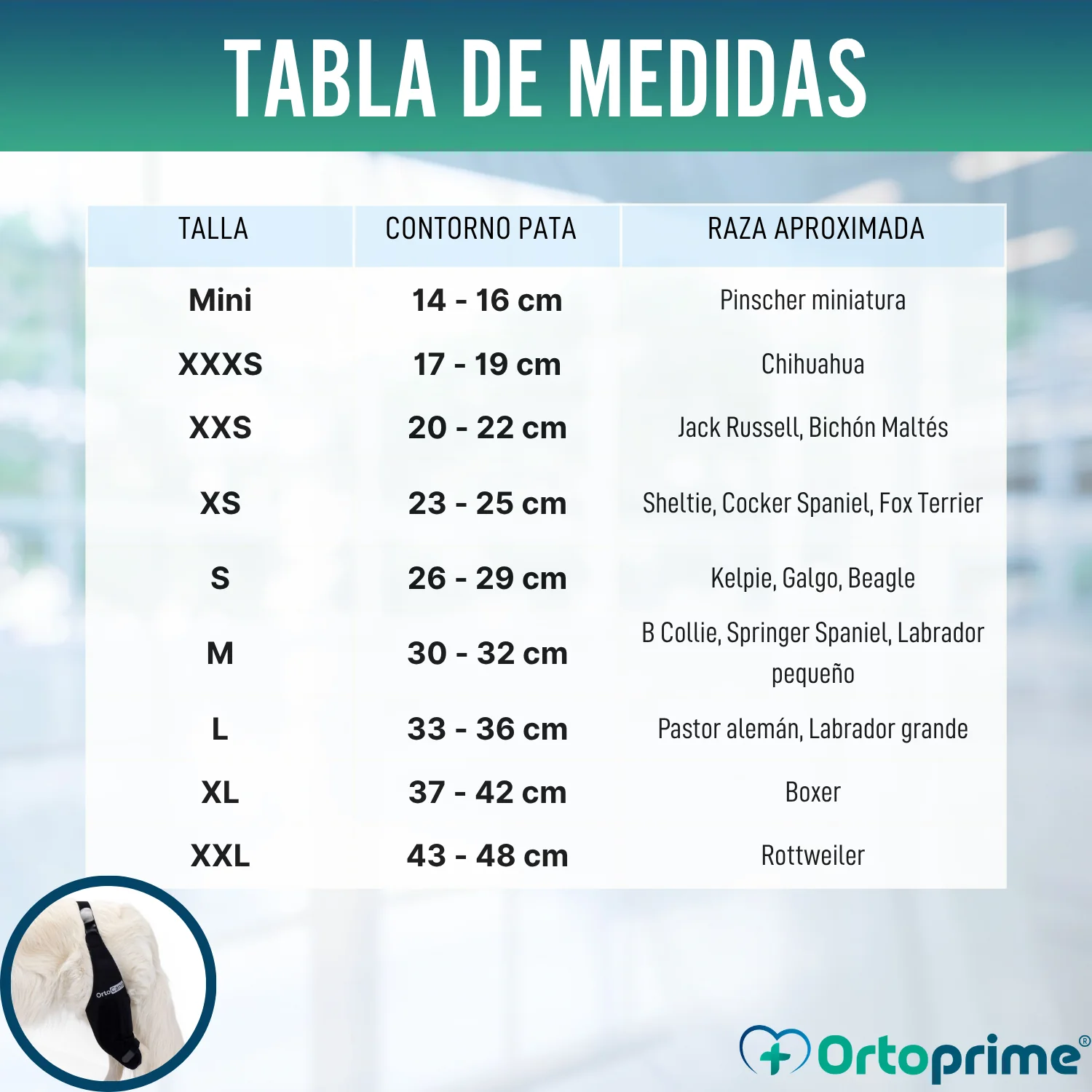 Inmovilizador de Rodilla para Perros de Neopreno | 9 Tallas - Image 2