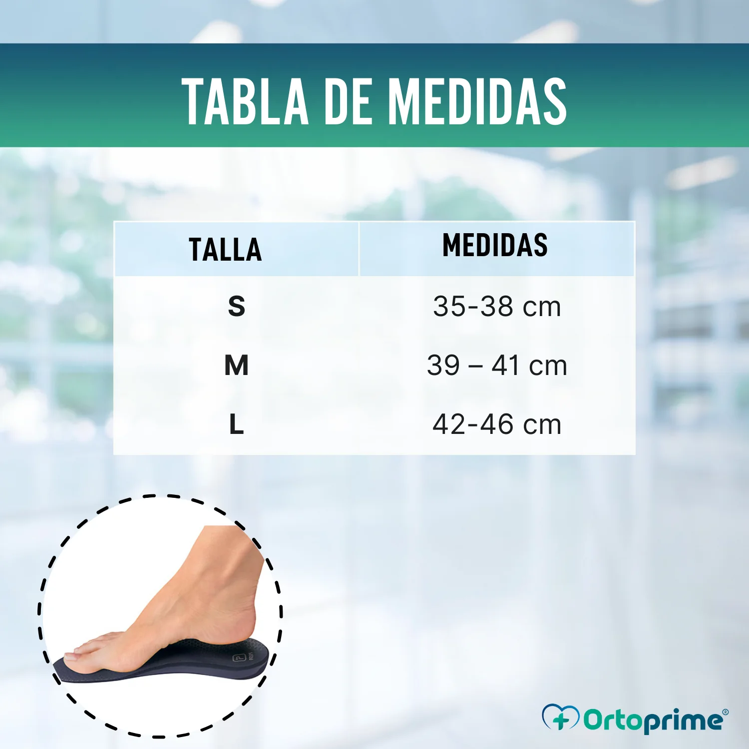 Plantillas Ortopédicas para Fascitis Plantar | 3 Tallas - Image 3
