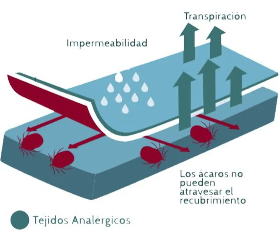 Protector en PVC para Colchón | Tejidos Analérgicos - Image 4