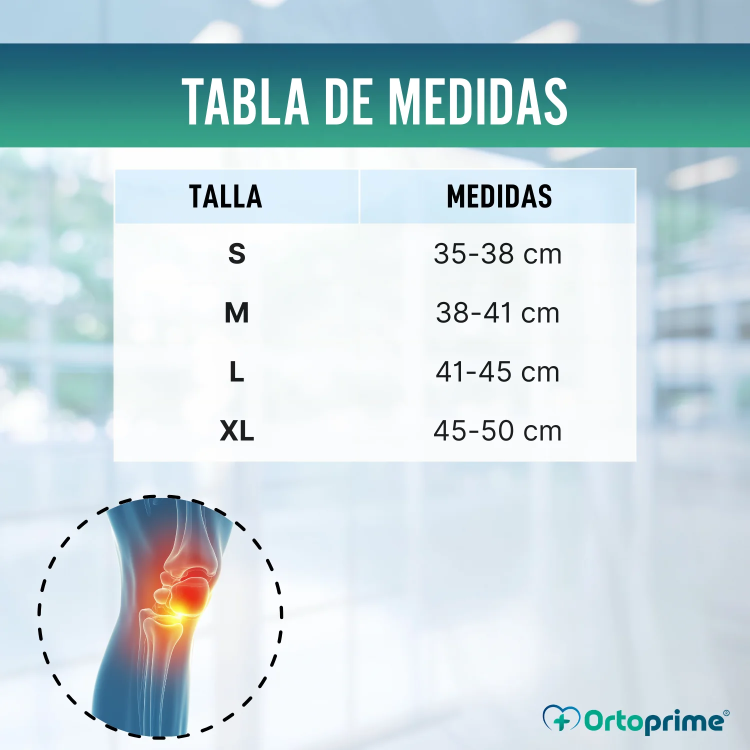 Rodillera para Artrosis | Protector de rodilla en 4 Tallas - Image 2