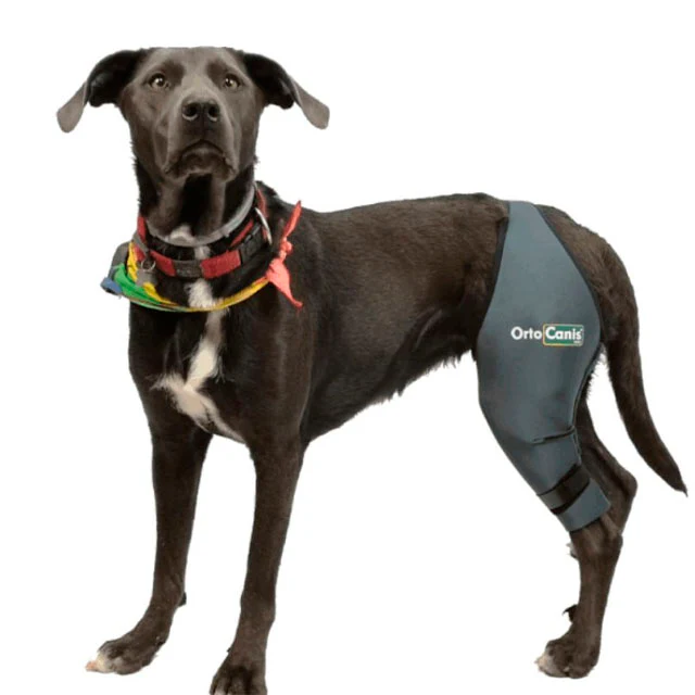 Rodillera Perros con Banda y Velcro Ajustable | Por Tallas - Image 5